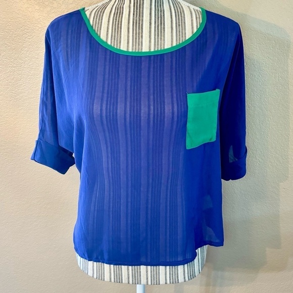 Verty Top Large Eggplant Purple Green Trim Sheer Cropped Short Rolled Sleeves - Picture 1 of 15